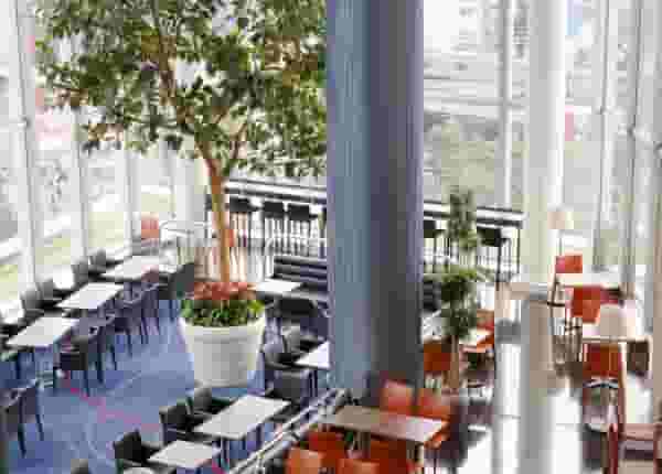 Cafe