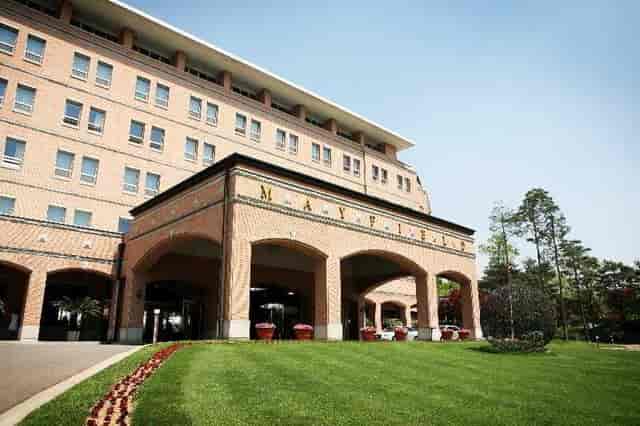 Daisy at Mayfield Hotel Seoul entrance, ideal for corporate events and meetings.