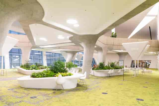 Modern Community Lounge in d·camp, featuring organic design for creative events and workshops.