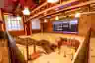 Meeting Rooms