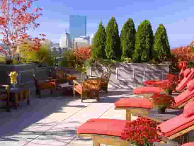 The Roof Deck