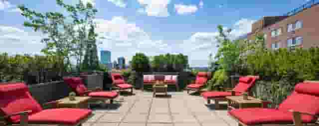 The Roof Deck