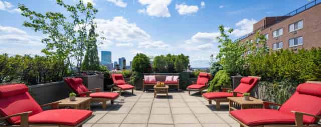 The Roof Deck