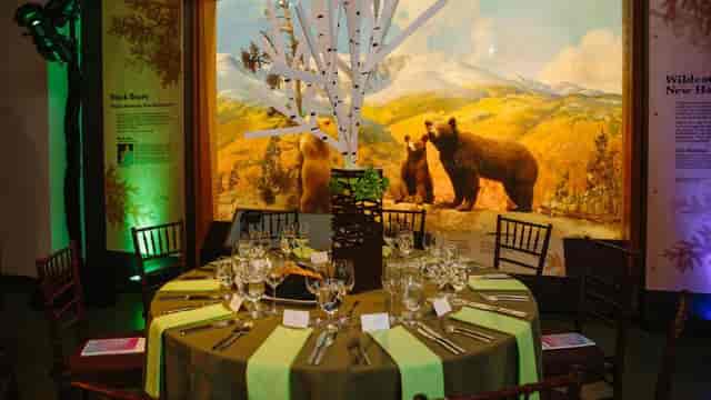 d'Arbeloff Suite event setup with tree centerpiece for nature-themed gatherings