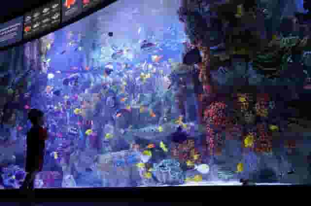 Aquarium