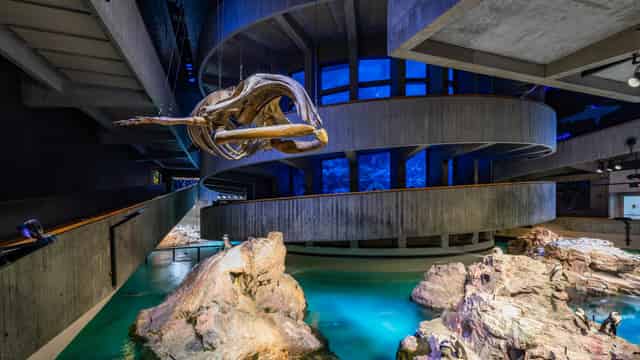 Aquarium
