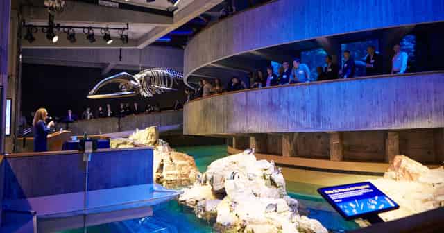 Main Exhibit Gallery