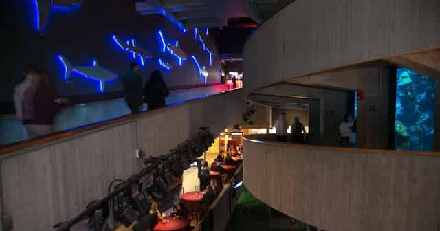 Main Exhibit Gallery