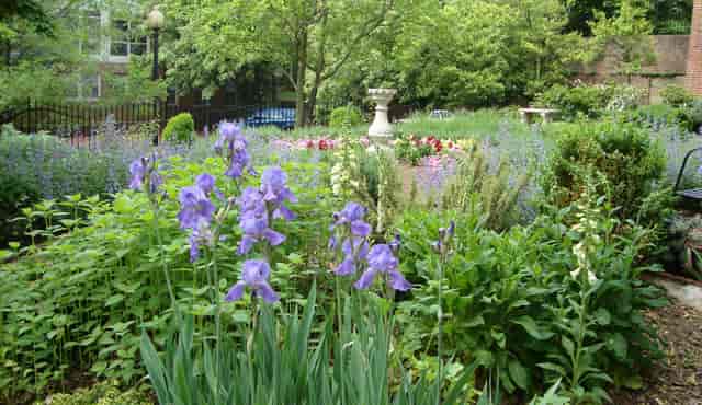 North Garden at Dumbarton House: vibrant flowers, ideal for weddings and outdoor events.