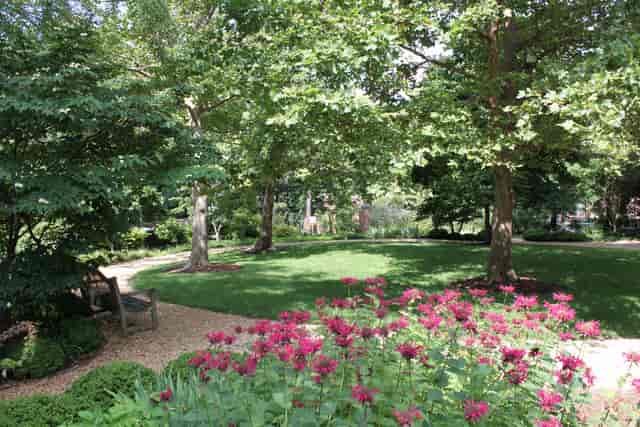 North Garden at Dumbarton House: lush venue for weddings and garden parties.
