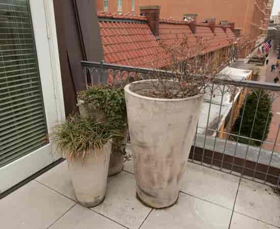 Rooftop terrace at Archer Hotel Alexandria with planters for events and gatherings.