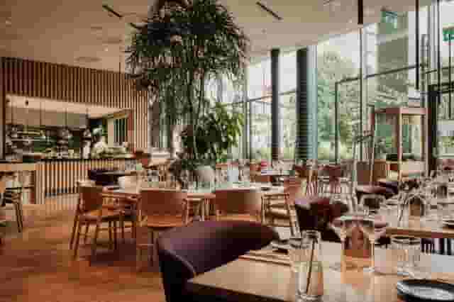 The Social Bar & Bistro