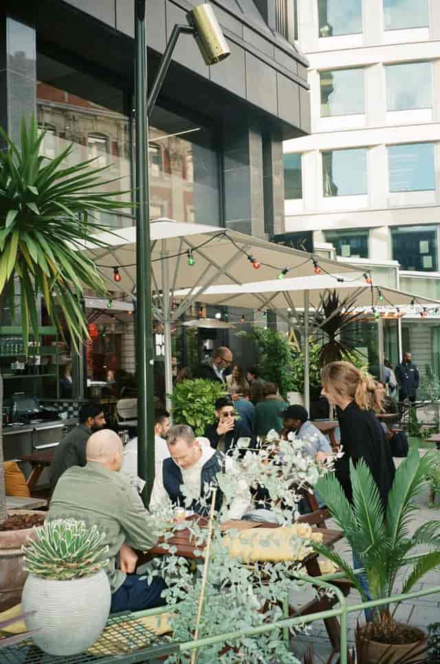 Outdoor patio at Hobo Hotel, lush greenery for casual networking events and mixers.