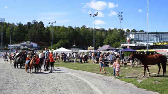 Vibrant outdoor event at Ströget, Solvalla with horses and engaging stalls.