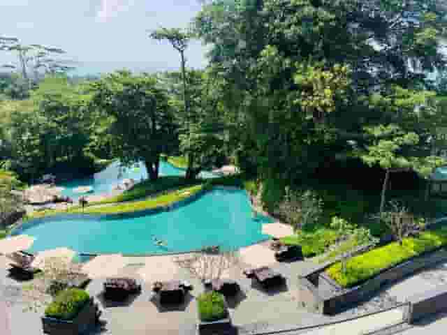 Garden of Dreams