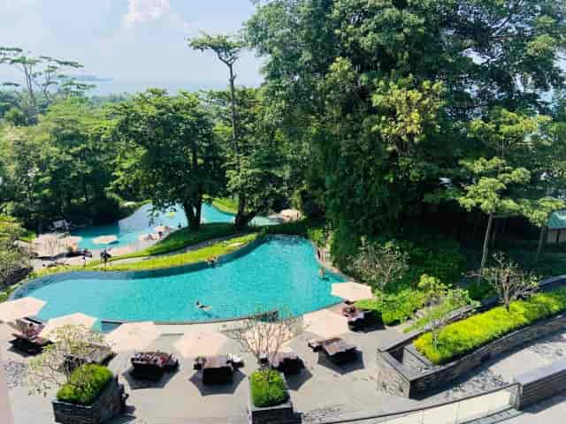 Garden of Dreams, Capella Singapore: serene pool venue for events and gatherings.