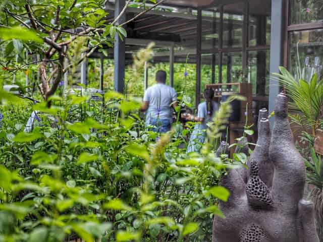 Outdoor Garden