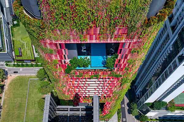 Vertical garden at Oasia Hotels with rooftop pool, ideal for upscale events and gatherings.