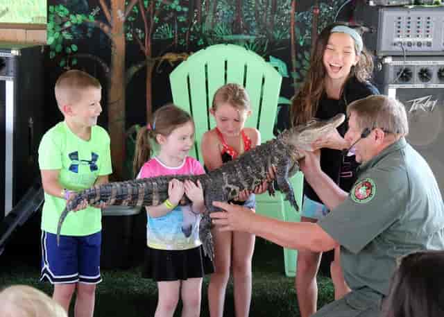 Children interact with a live alligator at Adventureland, perfect for family-friendly events.