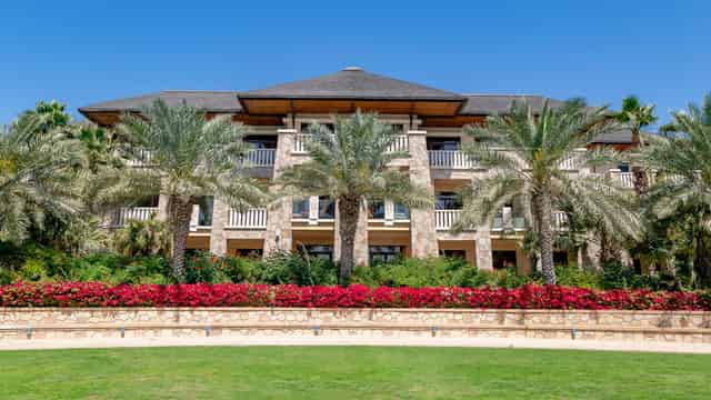 Palm View Garden