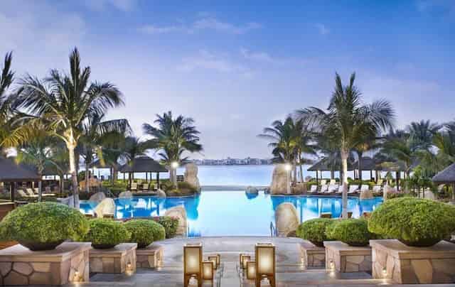 Palm View Garden