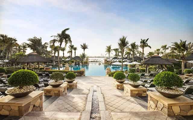 Palm View Garden