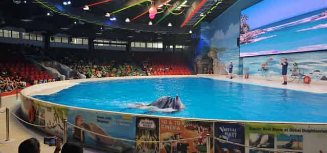 Bird Show Arena