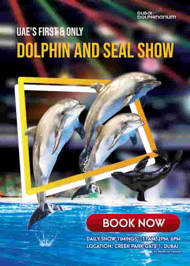 Dolphinarium