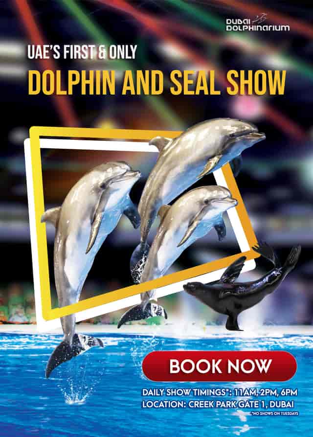 Dolphins performing at Dubai Dolphinarium for aquatic-themed events and conferences.