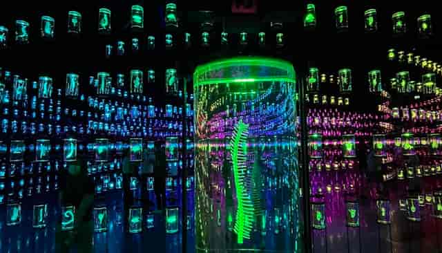 Event Space at Museum of the Future with vibrant displays for unique product launches.
