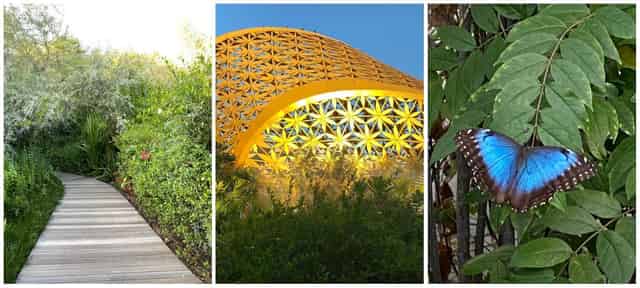 Butterfly House