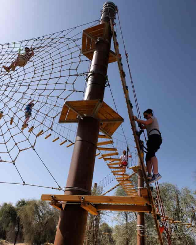 High ropes course at Aventura Parks for team-building and corporate retreats.