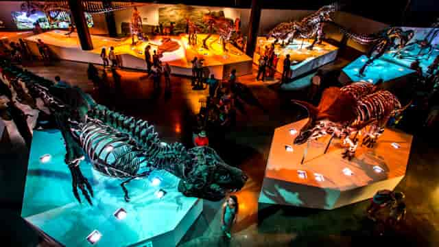 Wiess Energy Hall with dinosaur skeletons, ideal for educational events and gatherings.