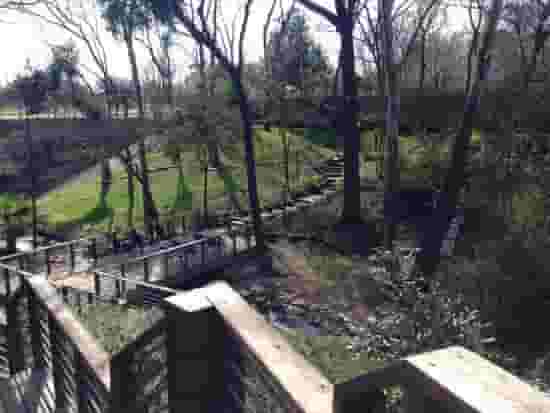 The Lower Deck