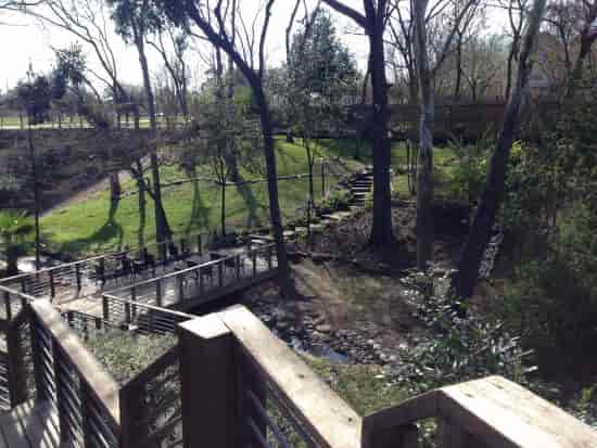 Serene outdoor venue at Rainbow Lodge with lush greenery for events and retreats.