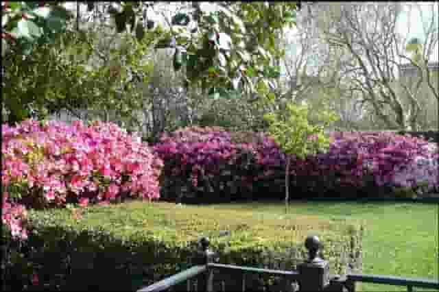 Garden Area