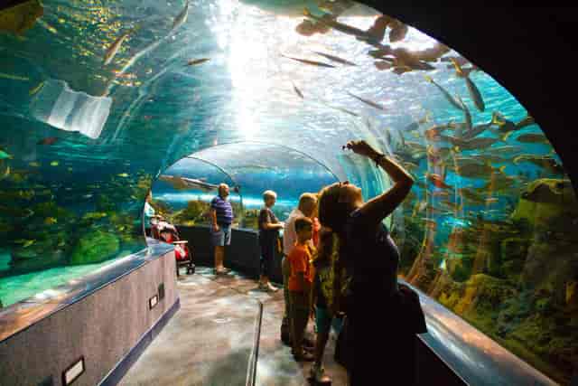 Dubai Aquarium And Underwater Zoo