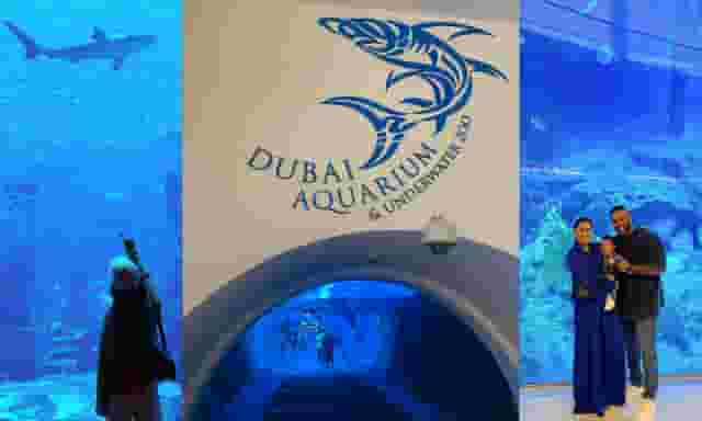 Underwater Zoo