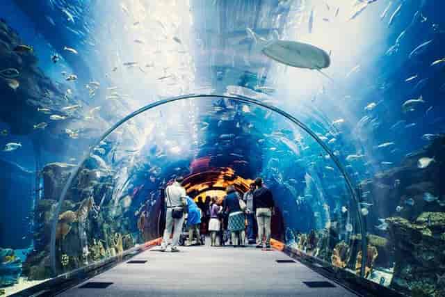 Dubai Aquarium & Underwater Zoo and ...