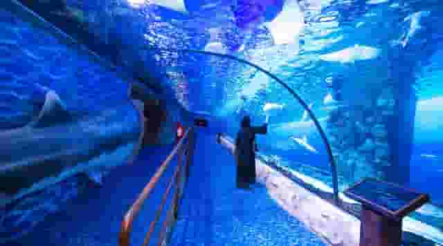 Aquarium Tunnel