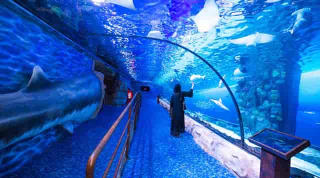Aquarium Tunnel in Dubai: vibrant underwater venue for corporate and social events.