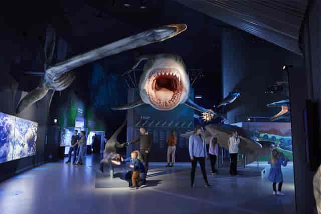 Main Aquarium Hall at Den Blå Planet with life-sized marine models for events
