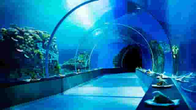 Main Aquarium Hall