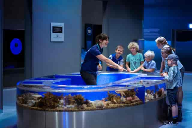 Interactive exhibit in Main Aquarium Hall, ideal for family events and corporate retreats.