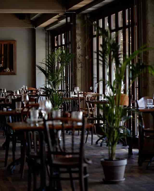 Elegant dining space at Restaurant Pluto, perfect for events and gatherings with greenery.