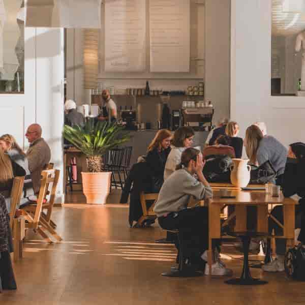 Cozy Museum Café in Natural History Museum Denmark, ideal for networking events and meetings.