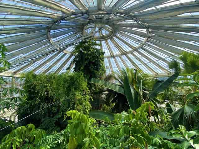Palm House Terrace: lush greenhouse with glass dome, ideal for corporate events & workshops.