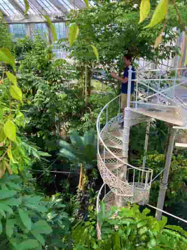 Palm House Terrace