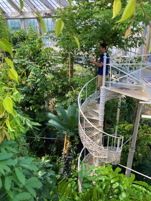 Spiral staircase in lush Palm House Terrace, perfect for inspiring events and gatherings.