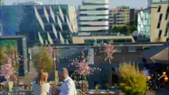 The Rooftop